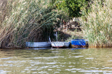 dalyan river, mugla, Turkey.