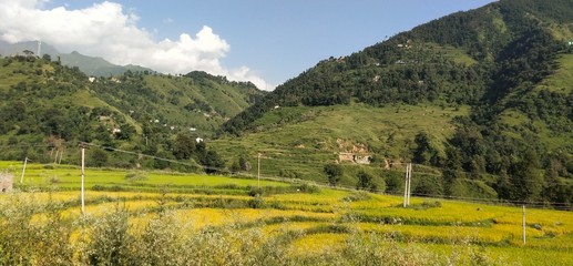 panorama of the mountains in the summer