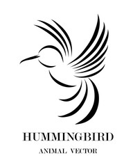 Black line art Vector illustration on a white background of flying hummingbird. Suitable for making logos