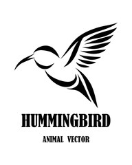 Black line art Vector illustration on a white background of flying hummingbird. Suitable for making logos