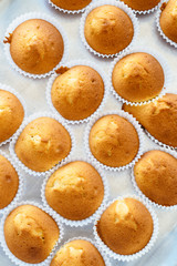 Homemade muffins on tray. Top view
