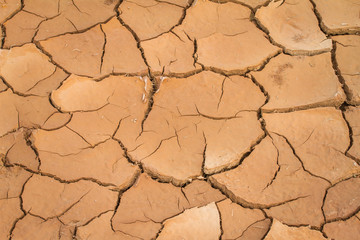 The ground is dry until cracked, used as a background