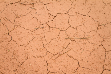 The soil is dry until shattered, used as a background.