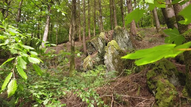 Belgique Wallonie tourisme Ardennes vert environnement balade promenade roche