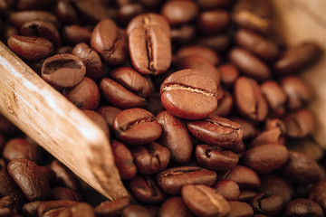 Fresh roasted coffee beans in wooden scoop closeup, , selective focus, stimulant of energy