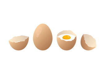 Raw egg in shell icon set vector. Broken eggs cracked open eggshell vector. Eggs icon vector. Brown fresh eggs icon set