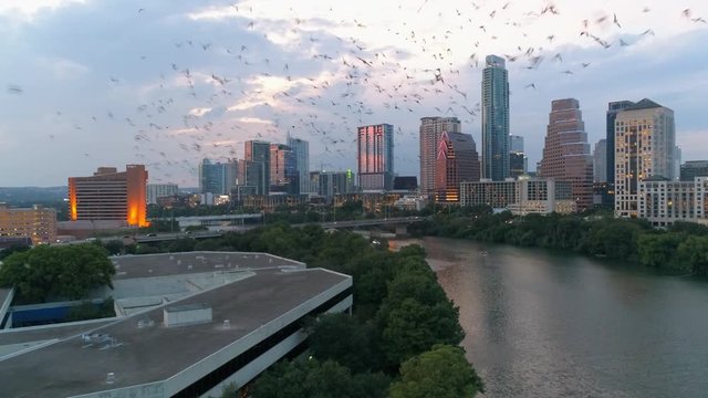 Bat Egress From Congress Avenue Bridge Drone Video Austin Texas USA