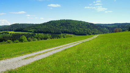 diagonaler Weg durch grüne Wiese zum Wald unter blauem Himmel im Frühling