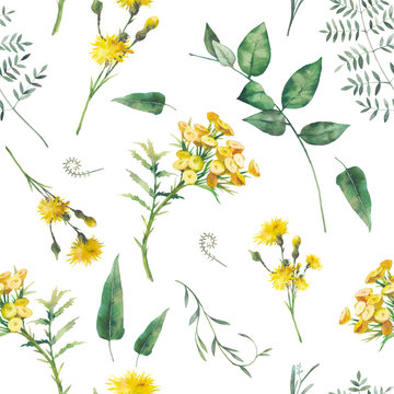 Watercolor meadow seamless pattern. Hand painted floral texture on white background.