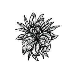 Tattoo style - Blackwork flower - Vector