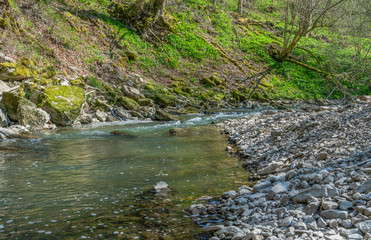 small river at spring time