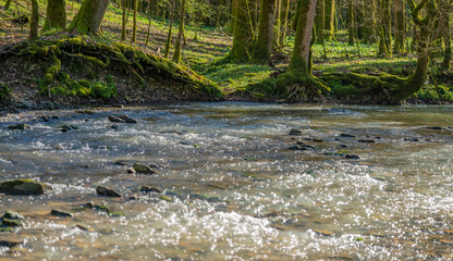 small river at spring time