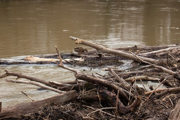 Natural dam made out of Branches and Rocks