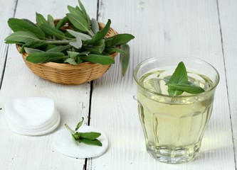 Homemade natural facial lotion made from sage, Salvia officinalis. Cheap organic lotion from a garden for smooth  skin without acne. Also use it for gargling against sore throat.