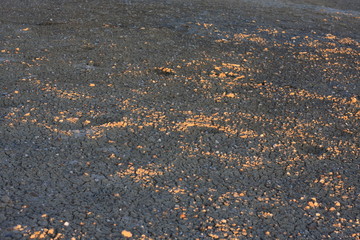 Dry ground texture background