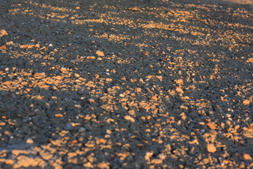 Dry ground texture background