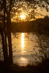 River, tree, sun, sunset, sky