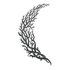 Twigs Symbol vector illustration