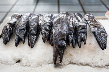 Espada fish on traditional fish market in Funchal at Madeira island, Portugal