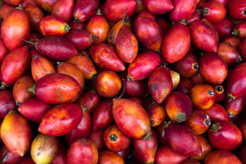 Tree tomato (tamarillo) on the market in Funchal at Madeira island, Portugal
