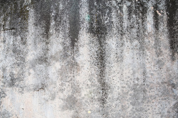 Grunge outdoor polished concrete texture, Cement and  texture for pattern and background