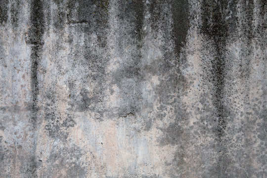 Grunge outdoor polished concrete texture, Cement and texture for pattern and background © Maria