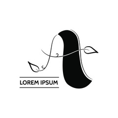 Capital letter A of the Latin alphabet. Lettering is drawn by hand. Ink calligraphy. Place for text. Decoration with leaves. Stock vector illustration isolated on white background. Design for logo.