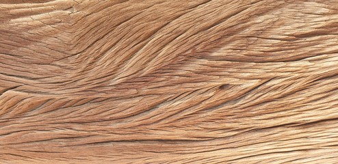 Fototapeta premium close up of rope