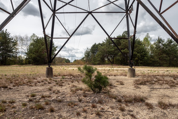A small pine tree on sandy ground under a high voltage pole