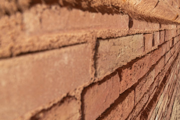 Background of closed up red brick wall texture. Angle view, oblique view. selective focus, texture, background - 348150581