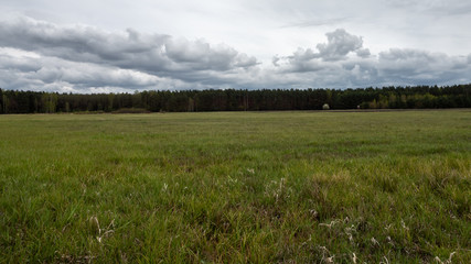 Green, empty meadow stretching to the horizon