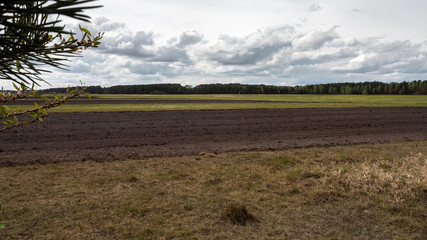 View of plowed fields and fields ready for sowing with forest in the background