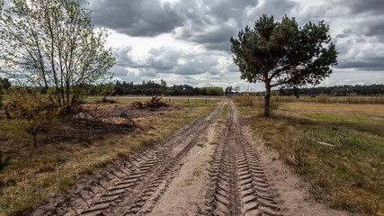 Fototapeta premium A rural, sandy road with traces of a passing machine. Despite the clouds in the sky, it doesn't rain