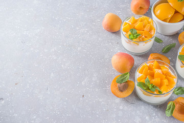 Fototapeta na wymiar Summer breakfast dessert. Curd or yogurt healthy dessert with apricot slices and mint. Eating healthy, diet and vitamin-rich sweet food, on grey stone background with fresh apricots copy space