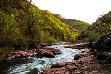 Clean and speed mountain river on Old Mountain (stara planina) in Serbia