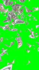 Flying dollars banknotes isolated on chromakey. Money is flying in the air. 100 US banknotes new sample. Vertical orientation. 3D illustration