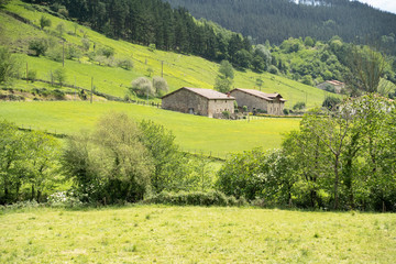 landscape int the basque mountains, basque country,spain