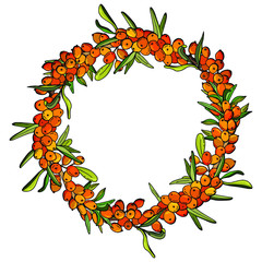 Wreath of sea buckthorn berries. Cartoon style. Stock illustration.