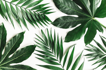 Summer composition. Tropical leaves on white background. Summer concept. Flat lay, top view, copy space