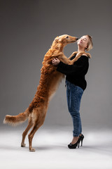 Borzoi with girl indoor on white background