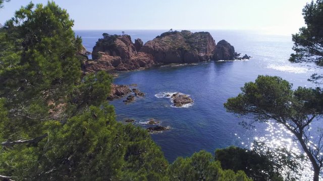 AERIAL DRONE SHOT COMING OUT OF PINE FOREST TO STUNNING BLUE MEDITERRANEAN SEA