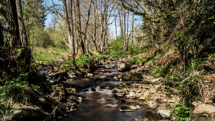 cours d'eau campagnard