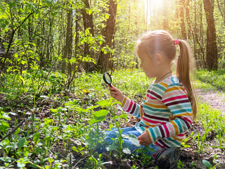Little girl with magnifying glass examines plants in the forest