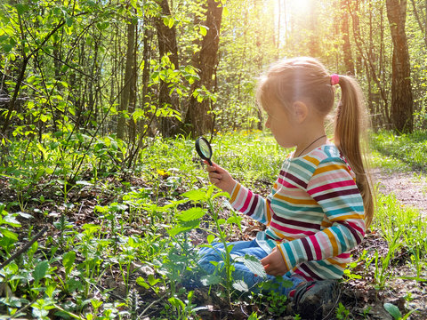Little girl with magnifying glass examines plants in the forest