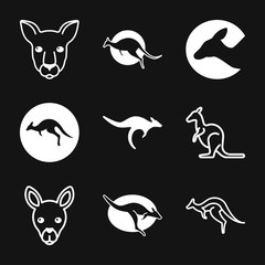 Fototapeta premium Kangaroo vector icon isolated on background. Animal symbol