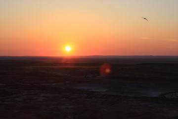 Sunlight in the desert