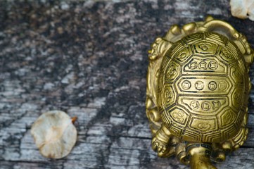 Metal turtle on a wooden background.