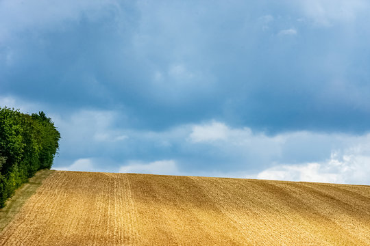 The golden field after wheat harvest in Germany