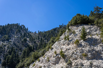 san bernadino national park