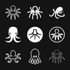 Octopus icon. Vector of an octopus design on white background. Aquatic animals.